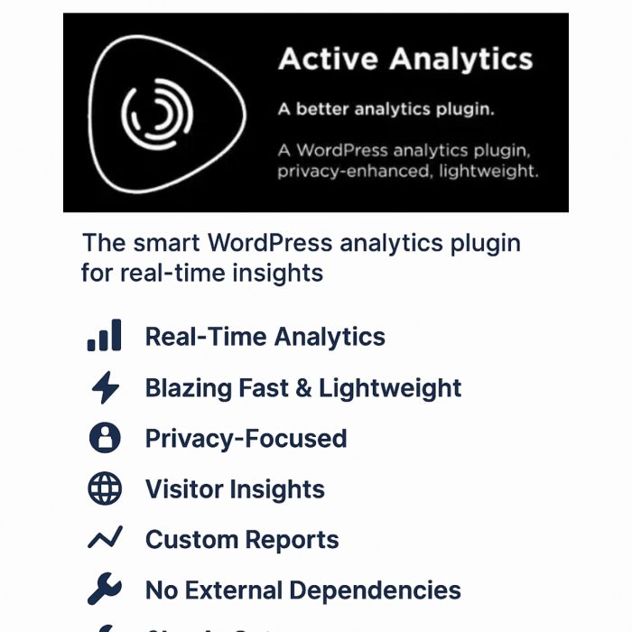 Active Analytics WordPress Plugin